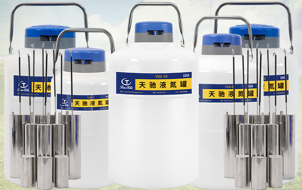 10升液氮罐能裝多少支凍精？